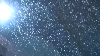 An image of falling snow in Connecticut.