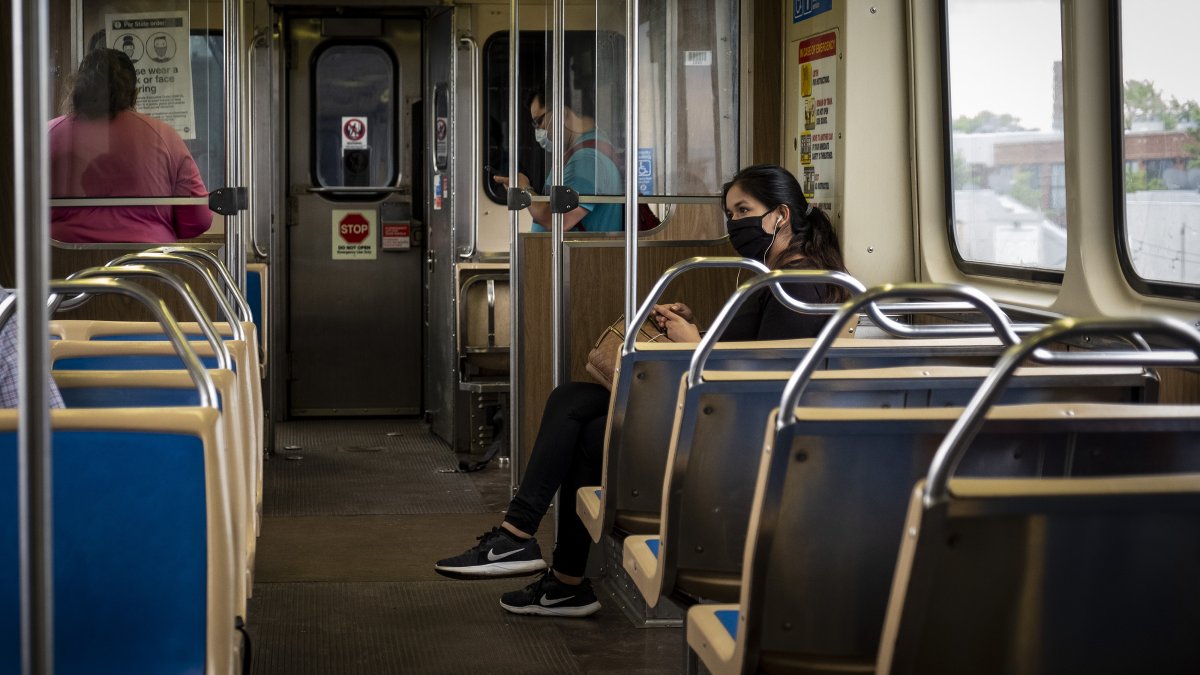 se permiten perros en los trenes del metro de chicago