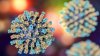 Confirman otros dos niños contagiados con sarampión, van 10 casos en total en Chicago