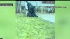 Arresto mortal: revelan video de momento en que policía dispara en la cabeza a hombre negro