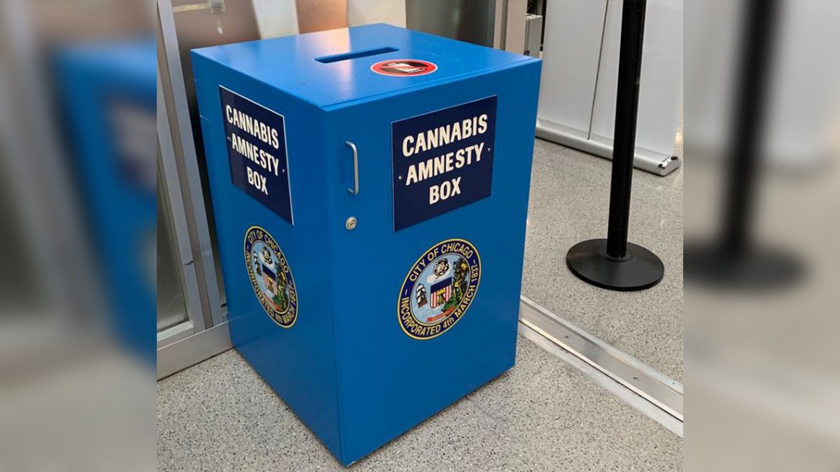 Small Amnesty Box Documentos: rara vez se usan las “cajas de amnistía de cannabis” para ...