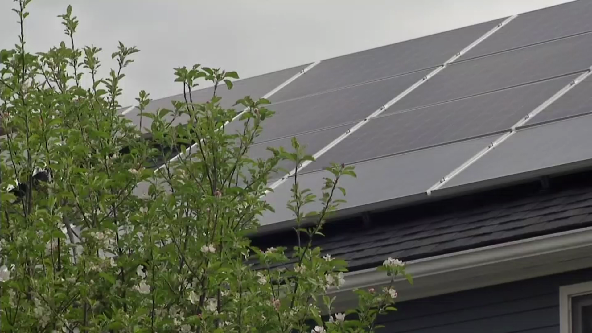 El ingenioso panel solar español que baja un 50% la factura de la