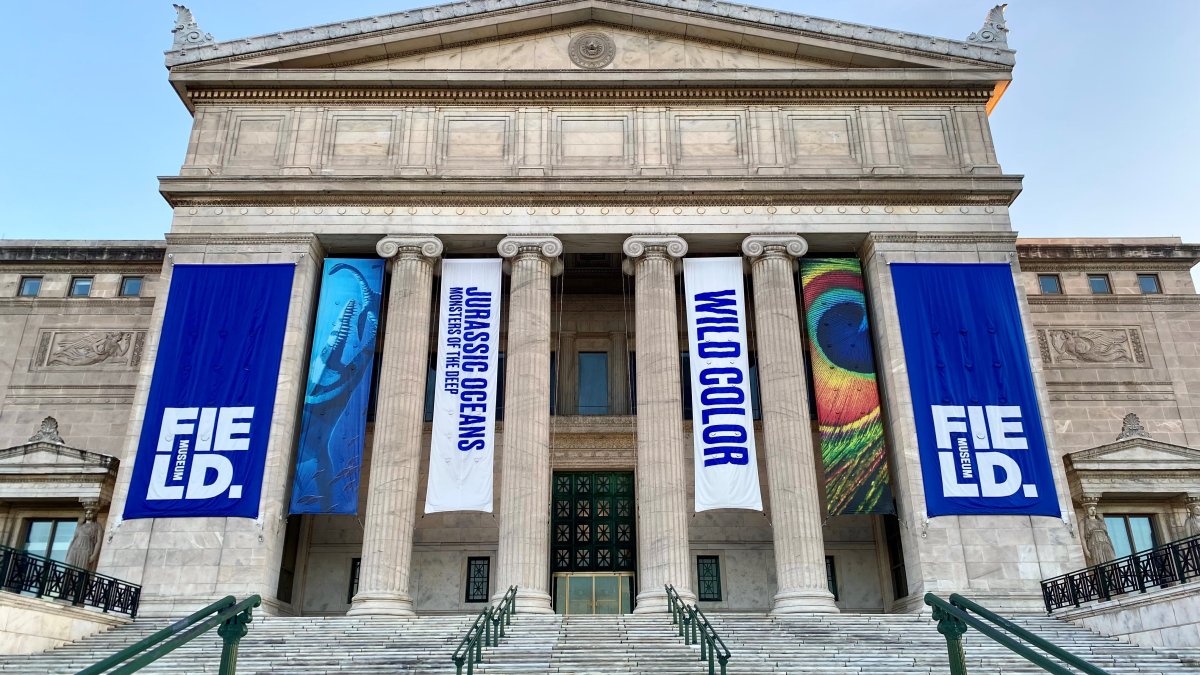 Entrada gratis a los museos de Chicago en verano de 2022 Telemundo