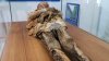 ¿Quién es? Crece el misterio por la famosa momia de Guano en Ecuador
