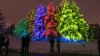 Espectáculo de luces en el Morton Arboretum de Chicago entre los mejores del país