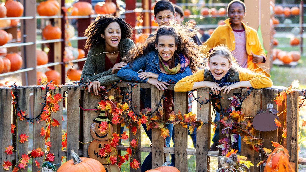 Festivales, granjas y huertos de calabazas para disfrutar el otoño en