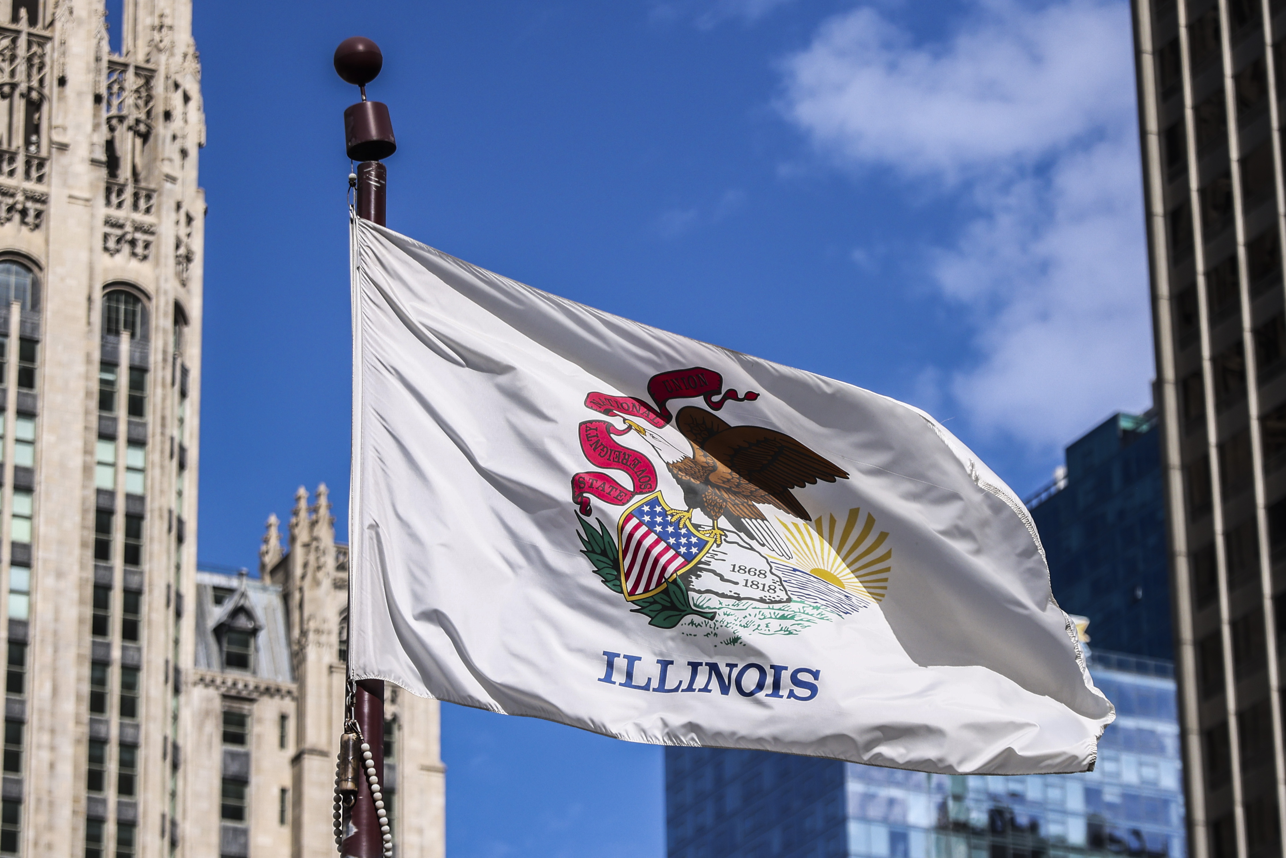 Photos: Illinois flag design proposals released by commission