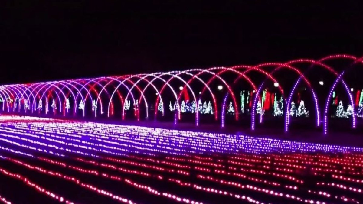 Brookfield Zoo se ilumina para celebrar el inicio de la Navidad