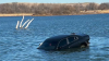 Rescatan a conductora que cayó en su auto a un lago en Bolingbrook