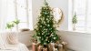 Mira cuándo debes quitar tu árbol de Navidad, según expertos