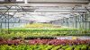 Acusan a 2 agricultores de Minnesota de falsamente vender cultivos como orgánicos
