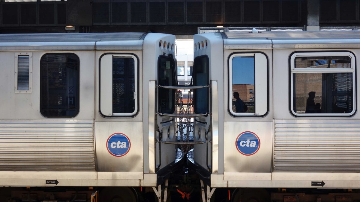 se permiten perros en los trenes del metro de chicago