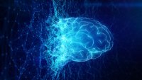 Reportaje especial: beneficios y riesgos de la inteligencia artificial en la salud mental