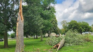 A tree is pictured in the grass of a cemetery, with headstones visible in the background. The tree has been snapped in half, with a jagged half sticking out fo the ground and the rest of the tree sitting to the right after it was hit by a tornado.