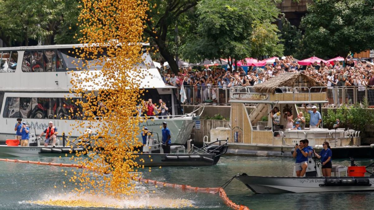 Miles de patitos de hule adoptados en Chicago por una buena causa