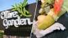 Hombre demanda a Olive Garden tras supuestamente encontrar una pata de rata en su sopa en Michigan