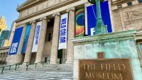 Días de entrada gratuita a museos en Chicago para octubre