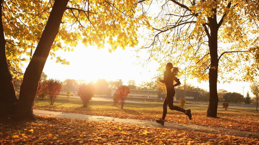 Female athlete on solitary training run in city park