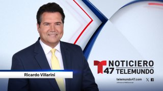 T47_RicardoVillarini_ WebProfile