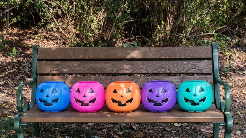 Foto de cinco calabazas de diferentes colores.