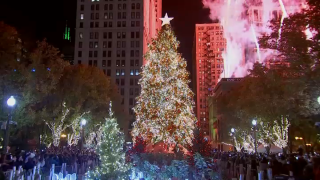 Foto del árbol de Navidad en Millennium Park ya iluminado.