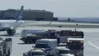 Vuelo de American Airlines que iba a Chicago regresa a aeropuerto tras altercado entre pasajeros