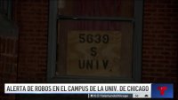 Alerta en la Universidad de Chicago tras serie de robos