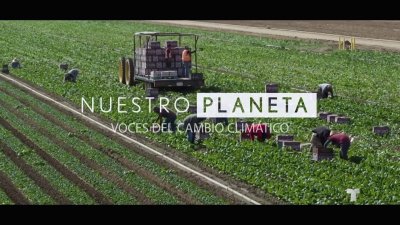 Nuestro planeta 2: cómo impacta el calor extremo a trabajadores del campo y la agricultura