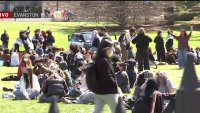 Inician las protestas en el campus universitario de Northwestern