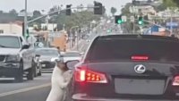 Desgarrador video: perro corre tras el carro de su dueño tras ser abandonado