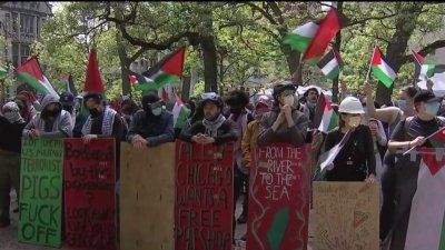 Momentos de tensión en la Universidad de Chicago tras protestas pro-Palestina