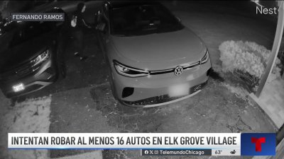 Ladrones intentaron robar al menos 16 autos en Elk Grove Village