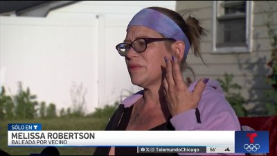Madre que fue baleada por vecino en Lockport Township habla por primera vez