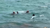 En video: buen samaritano se lanza al agua para rescatar a joven a punto de ahogarse