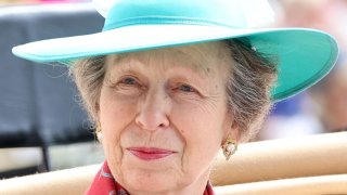 princess anne hospitalized with minor injuries and a concussion after ‘incident' on her estate