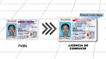 Foto comparando una TVDL con una licencia de conducir.