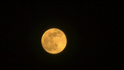 Chicago pronto podrá presenciar el eclipse de la Superluna