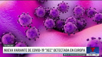 Atención sobre el nuevo variante de COVID-19 ‘XEC’