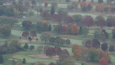 Dónde y cuándo ver los colores del otoño en Illinois