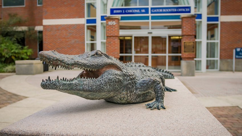 Gainesville, Florida – January 28, 2022: University of Florida Gator statue at Ben Hill Griffin football Stadium