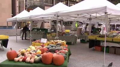 Comienza la temporada de otoño de los mercados de agricultores