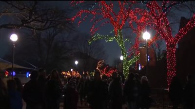 A la venta los boletos para ZooLights en el Zoológico de Lincoln Park