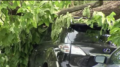 FEMA abrirá centros de asistencia en Chicago y en Homewood