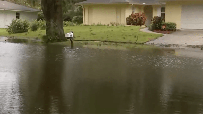 Completamente inundado, así quedó este vecindario de Florida Central