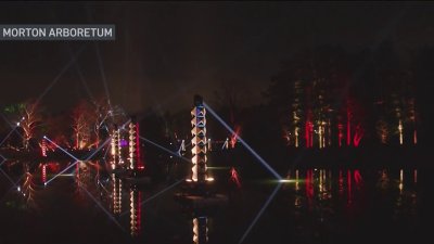 Exhibición de árboles iluminados en el Morton Arboretum