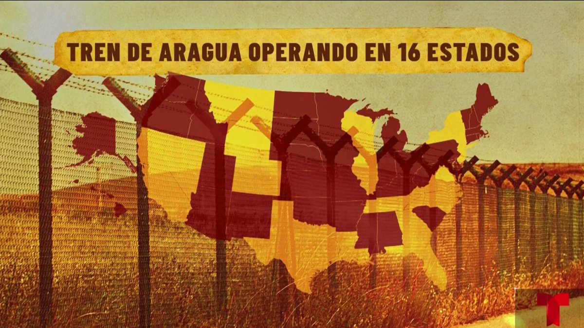 Presencia del Tren de Aragua en al menos 16 estados del país ...