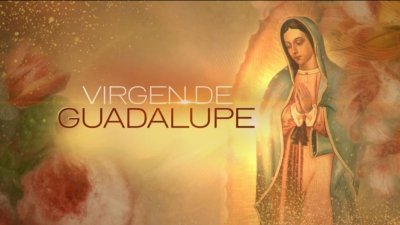 Ya se siente el fervor guadalupano en Des Plaines