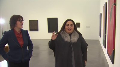 Alianza entre el Museo de Arte Contemporáneo y el Consulado de México en Chicago