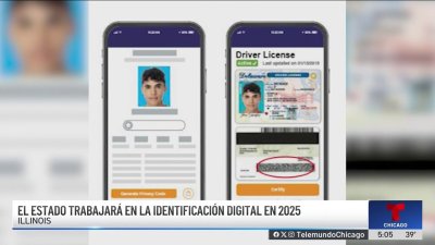 Illinois avanza hacia identificaciones digitales con máxima seguridad