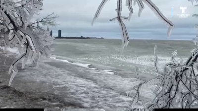 Impresionantes imágenes de árboles congelados y olas en el malecón de Chicago